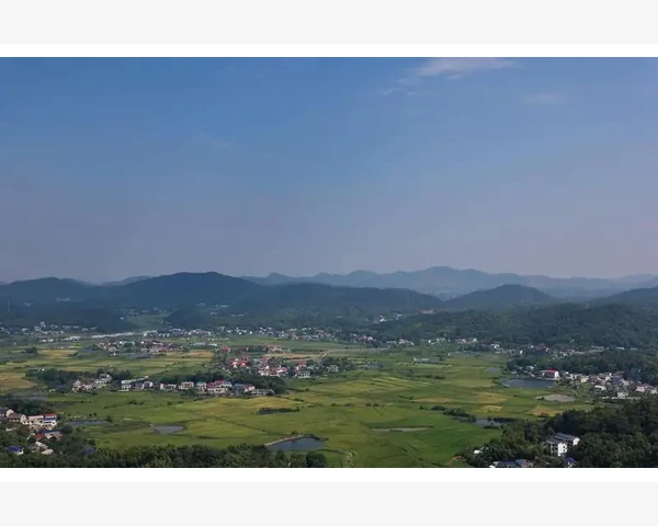 注册会计师李玉玲的审计实战经验分享